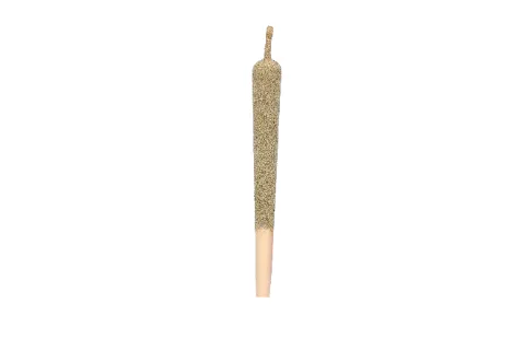 Sativa pre-roll packshot on a white background