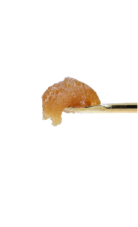 Cannabis sauce concentrate jar packshot